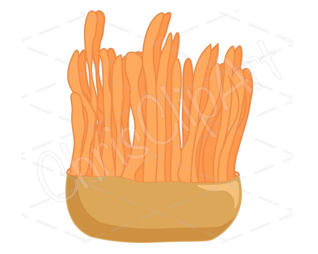 Cordyceps Mushroom SVG PNG JPG Fungus Clipart Cricut - Etsy