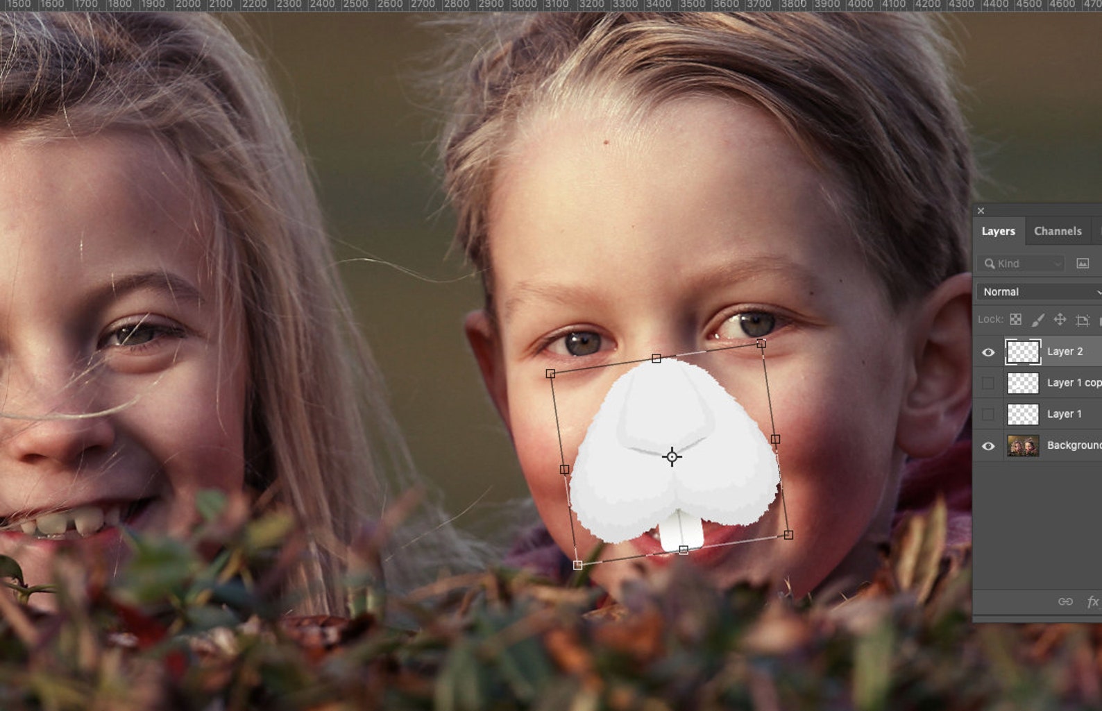 Free Free Bunny Nose Svg 469 SVG PNG EPS DXF File