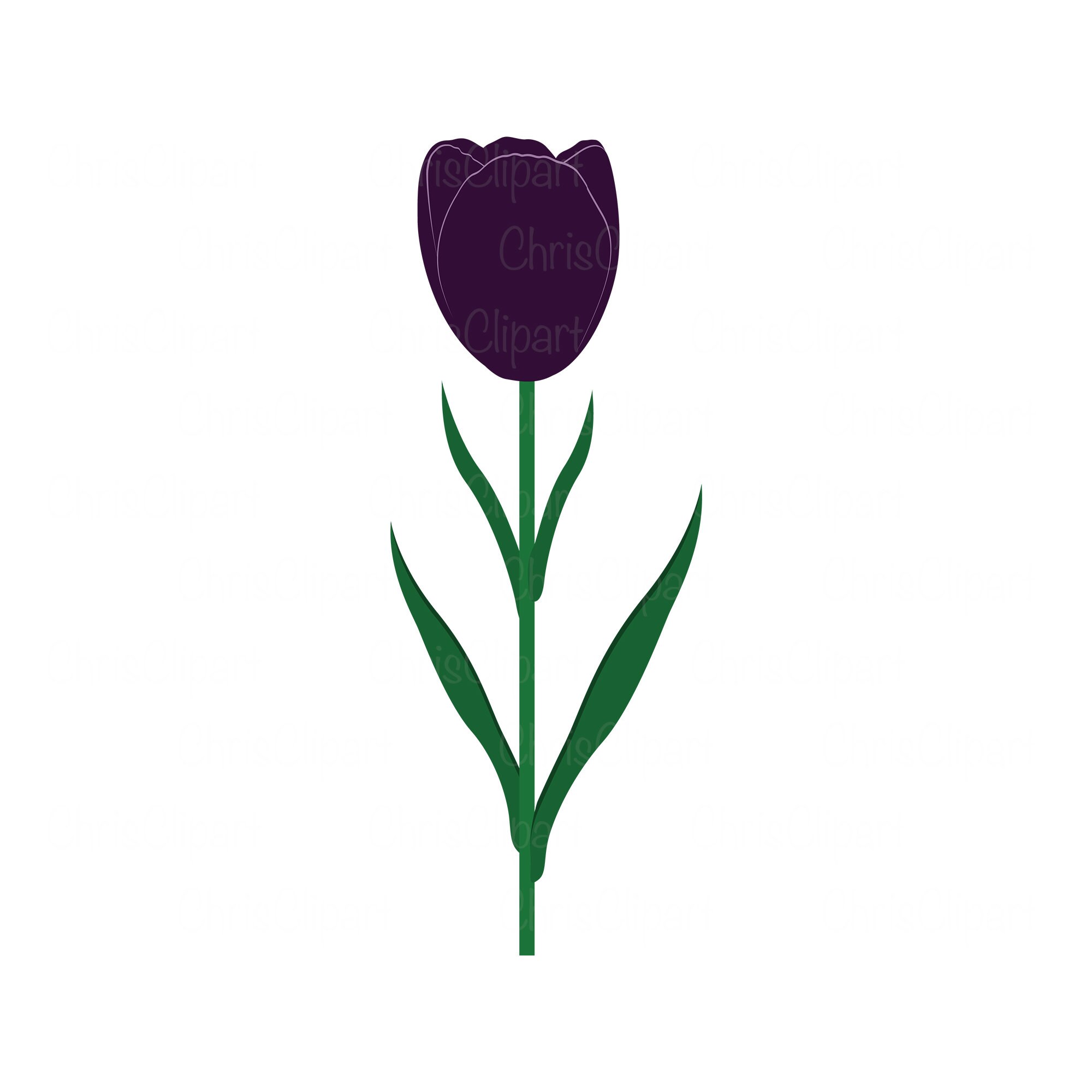 Tulip Svp Clipart Tulip Tulip Png Tulips Svg Clipart Etsy Australia