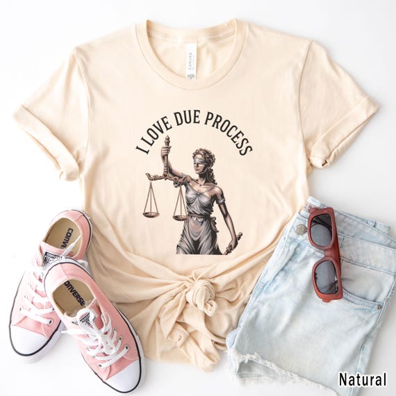 I Love Due Process Unisex T-Shirt, Lady Justice Graphic Tee, Legal Rights T-Shirt, Lawyer Gift, Civil Liberties Shirt, Justice Protest Tee