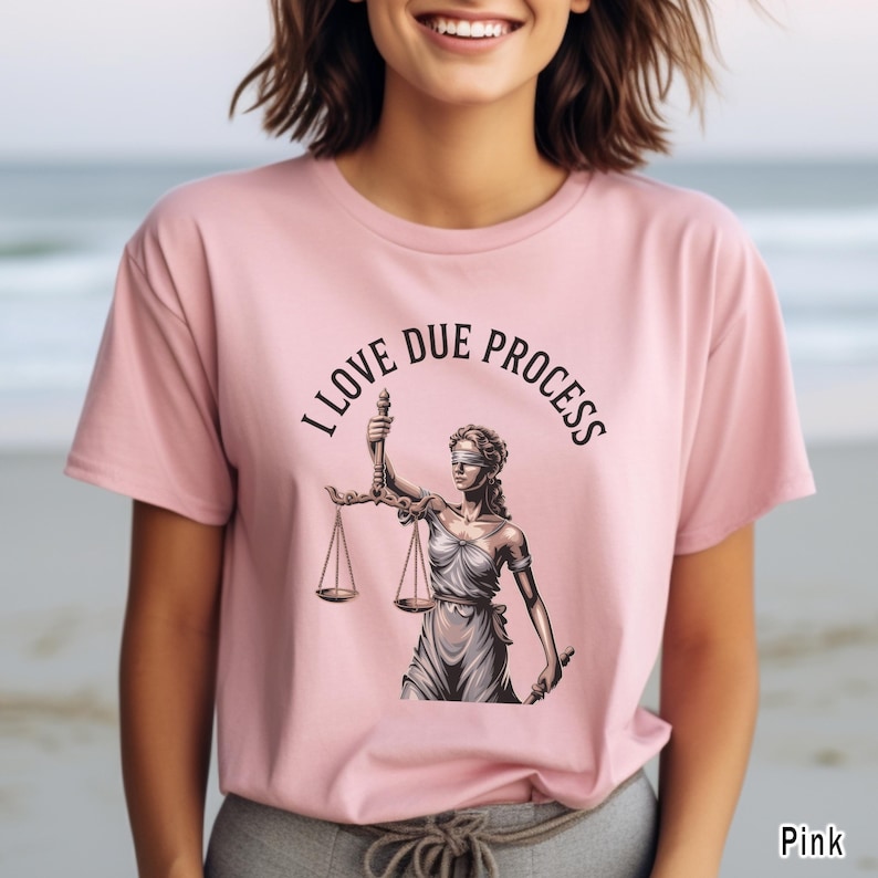 May include: Pink t-shirt with the text "I LOVE DUE PROCESS" above an illustration of Lady Justice holding scales. The illustration is in shades of gray and brown.