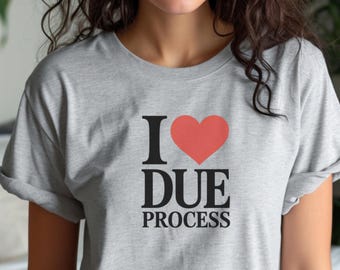I Love Due Process Shirt, Heart Graphic Tee, Civil Rights T-Shirt, Lawyer Gift, Law Student Shirt, Legal Justice Tee, Law School Justice