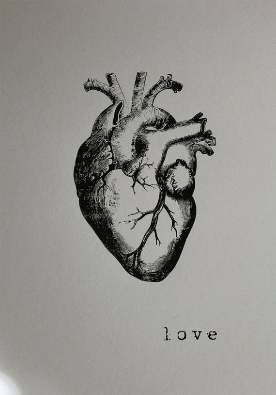 LOVE Print Anatomical Heart 