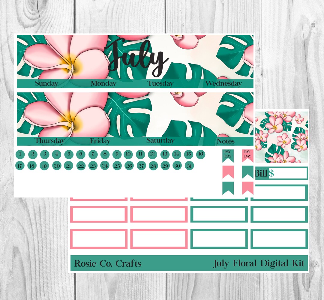 July Monthly Sticker Kit Erin Condren Monthly Stickers Planner Stickers ...