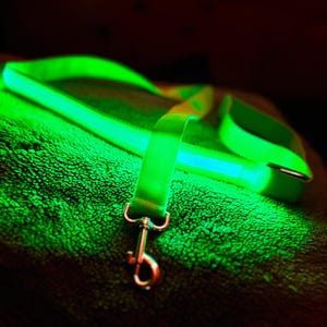 Op de afbeelding: Een groene, in het donker lichtgevende hondenriem met een zilveren clip.