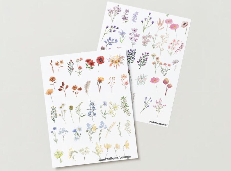 以下が含まれることがあります： 水彩の花のイラストが描かれたステッカー用紙2枚。上のシートにはピンク、パープル、レッドの花が描かれています。下のシートにはブルー、イエロー、オレンジの花が描かれています。上のシートの下部には「Pink/Purple/Red」というテキストが、下のシートの下部には「Blue/Yellows/Orange」というテキストが書かれています。