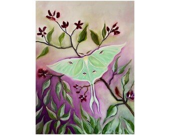 Luna Moth Giclee Print “Luna Moth”