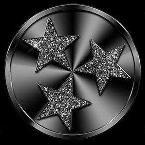 Tennessee - Custom License Plate - Black and Gray Glitter (NOT real glitter)