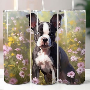 Boston Terrier Puppy 20 oz Skinny Tumbler Sublimation Design Digital Download PNG Instant, Boston Terrier Tumbler