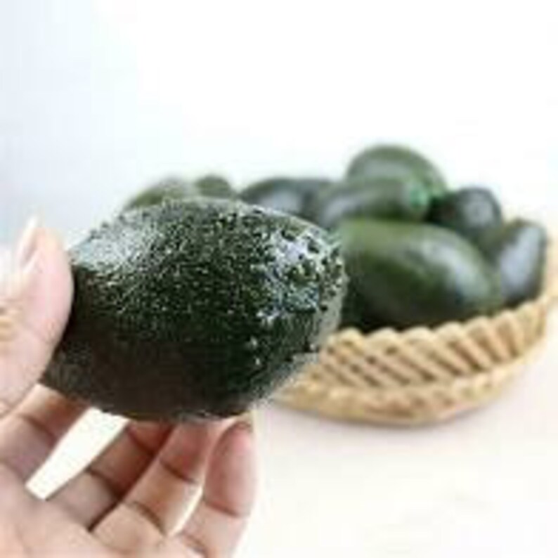 Faux Avocado Artificial Avocado Fake Avocado Etsy
