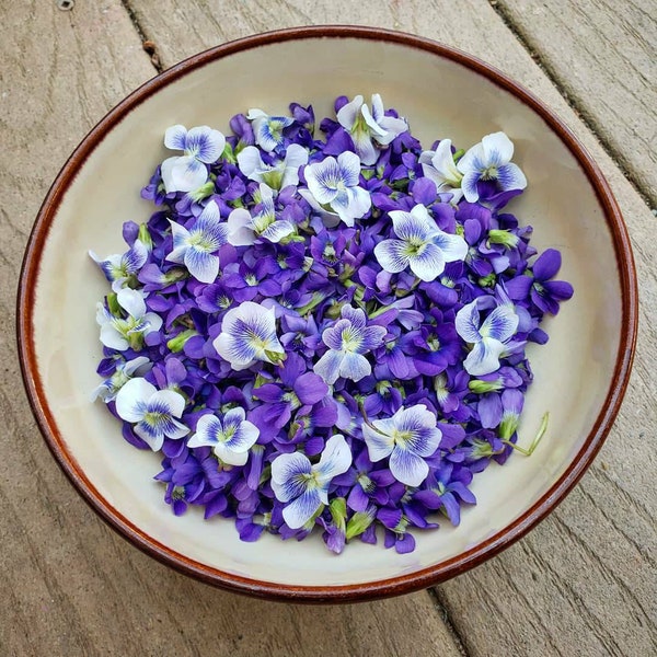 Dried Wild Violet Flowers