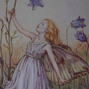 The Harebell Flower Fairy Print,&quot;&quot;By Cicely Mary Barker.From Flower Fairies of the Summer. Circa 1940.Published by Blackie and Son.