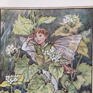 Jack-By-The-Hedge Fairy Print by Cicely Mary Barker