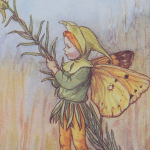 The Toadflax Fairy Flower Fairy Print,&quot;&quot;By Cicely Mary Barker.From Flower Fairies of the Summer. Circa 1940.Published by Blackie and Son.