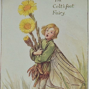 Flower Fairy Print,&quot;The Colt&#39;s Foot Fairy&quot;By Cicely Mary Barker.From Flower Fairies of the Spring. Circa 1940.Published by Blackie and Son.