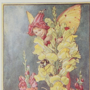 Snapdragon Fairy Print by Cicely Mary Barker: Vintage Flower Fairies of the Garden (1944)