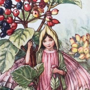 Flower Fairy Print,&quot;The Wayfaring Tree Fairy&quot;By Cicely Mary Barker.From Flower Fairies of the Autumn.Circa 1940.Published by Blackie and Son