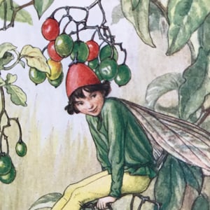 Flower Fairy Print,&quot;The Nightshade Berry Fairy&quot;By Cicely Mary Barker.From Flower Fairies of the Autumn.Circa 1940.Pub. by Blackie and Son