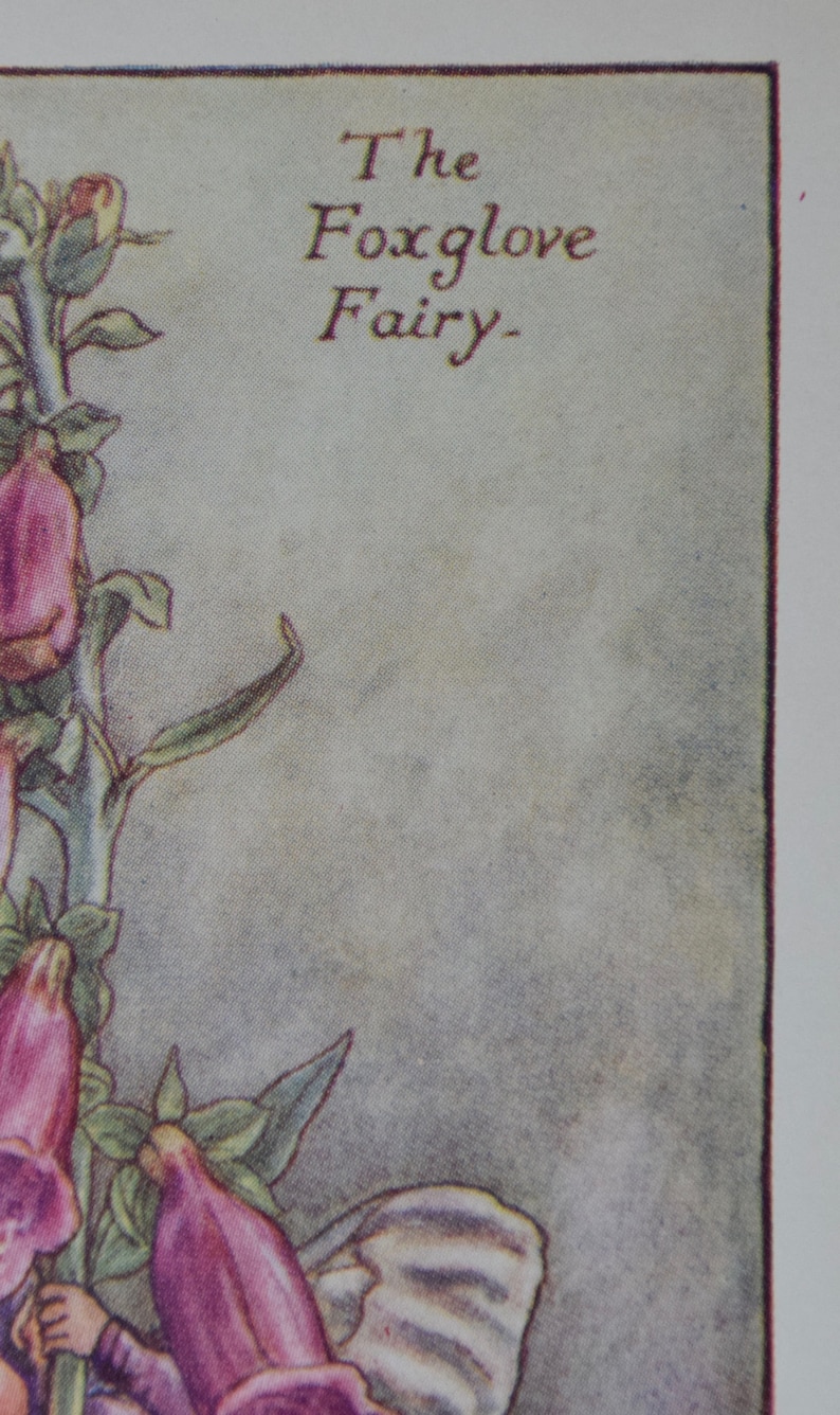 The Foxglove Fairy Flower Fairy Print,by Cicely Mary Barker.from Flower