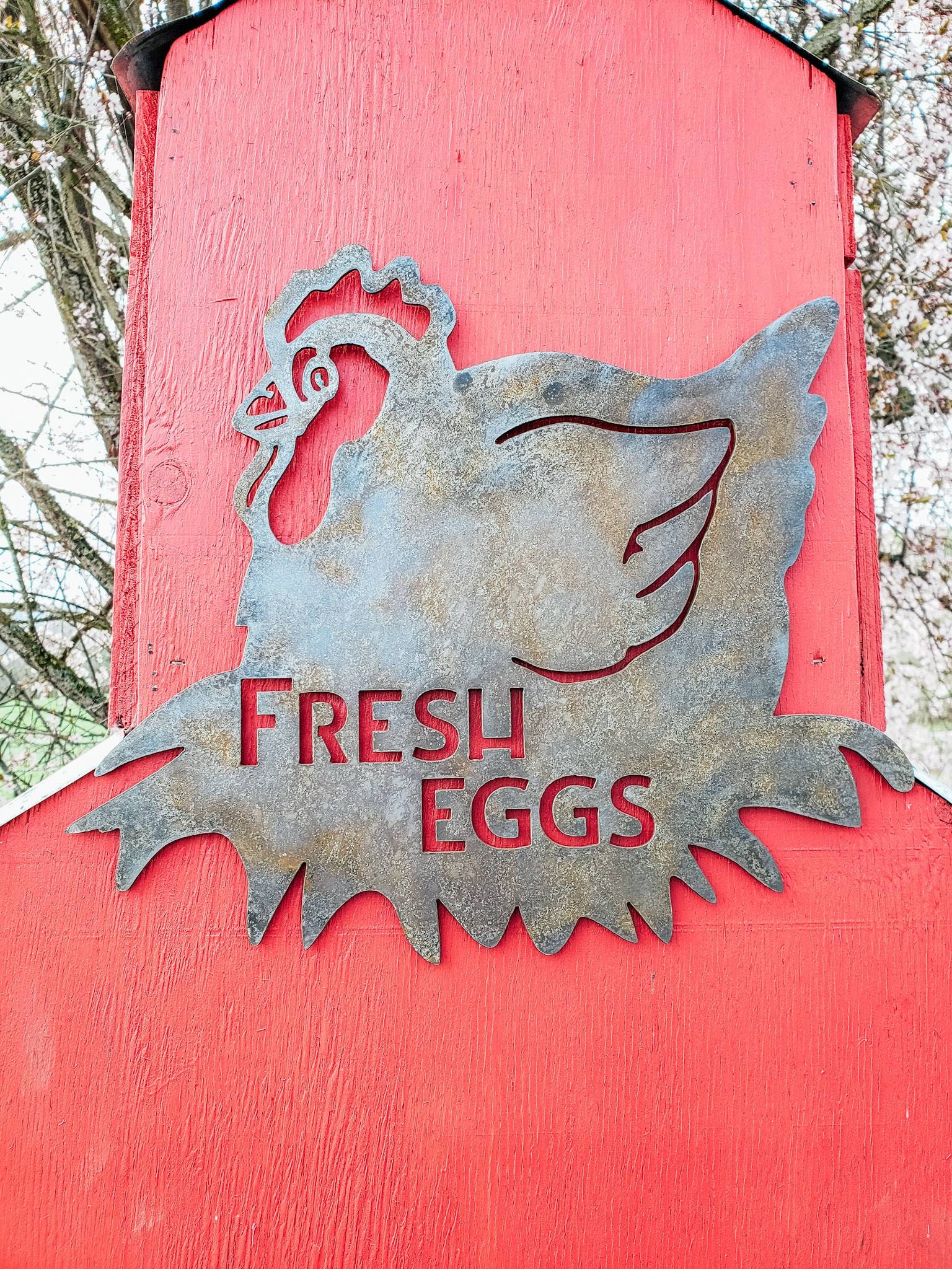Fresh Eggs Metal Hen Coop Sign Chicken Coop Decor Rustic Metal Decor