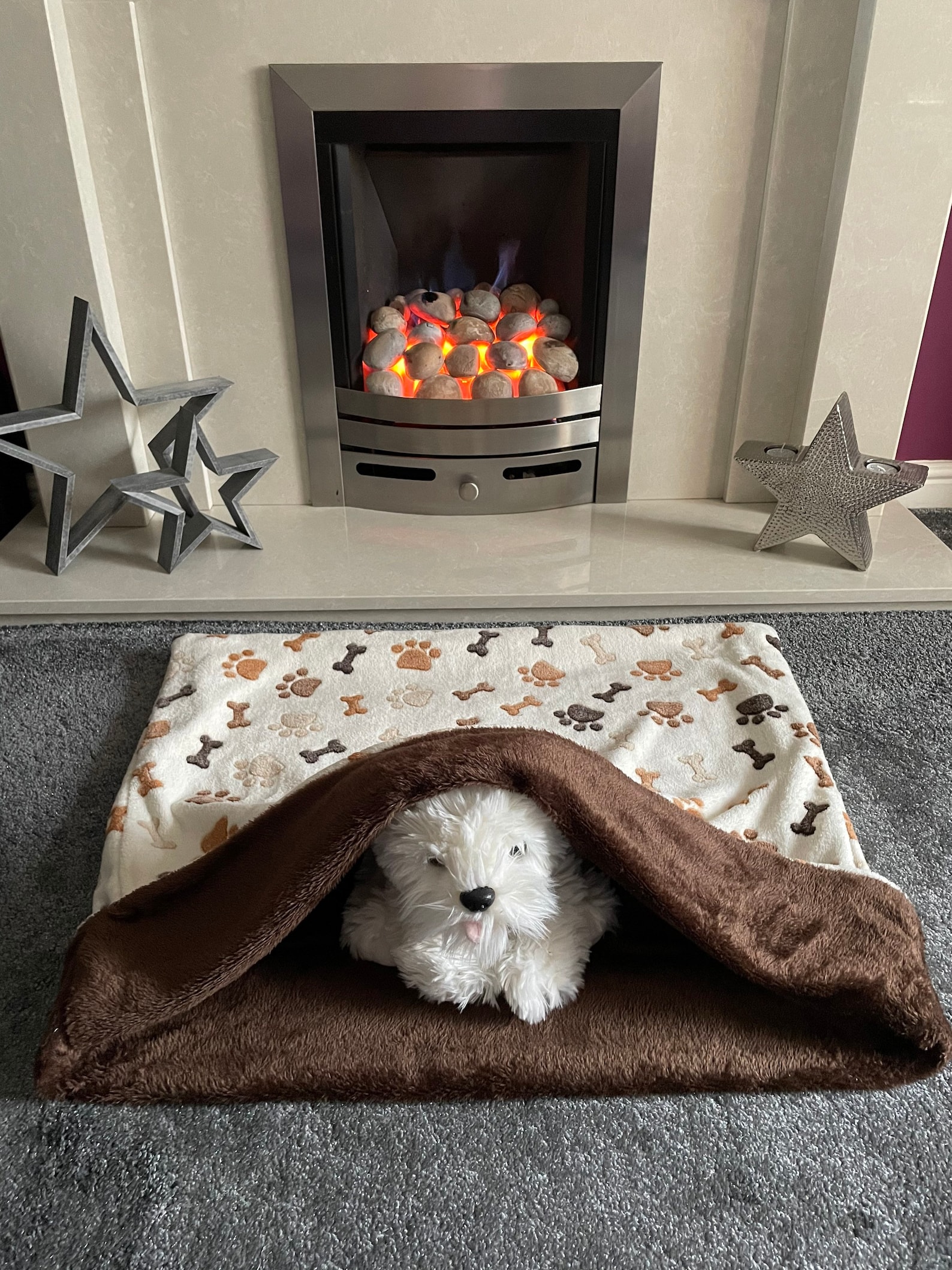 Dog snuggle sack / blanket / burrow bed / dog fleece Etsy