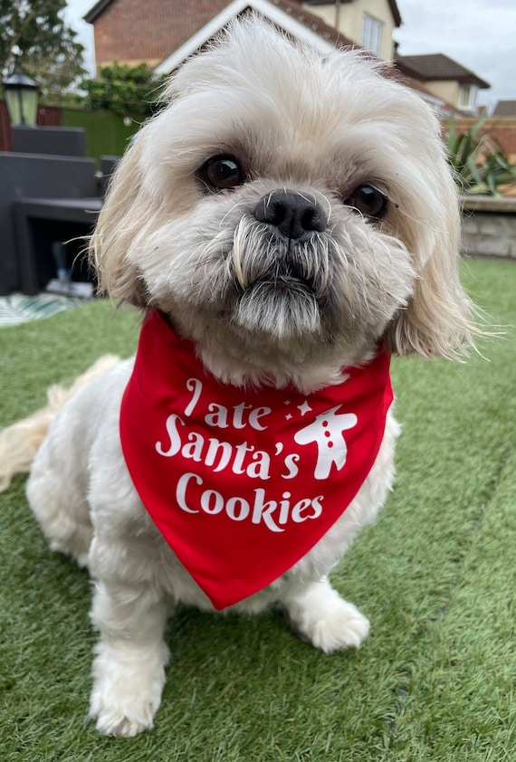 Hunde Weihnachtskostüm Set - Halstuch, Mütze & Fliege Mit Glocke