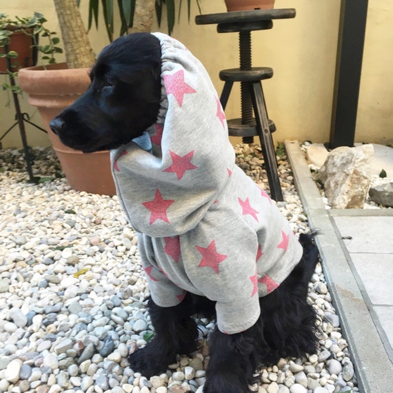 felpa adidas cane felpa adidas cane