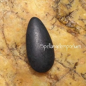 Bliksemsteen Chango Blessed 1,5 inch ~ Piedra de Siete Rayos Chango Bendecida ~ Santeria / Ifa / Yoruba ~ 7 roggen