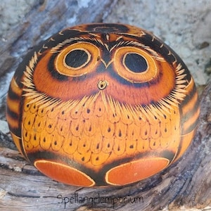 Guiro with hand painted Owl/ Guiro con búho pintado a mano -  Ogun Gourd - Osain Gourd - Santeria / Ifa / Yoruba ~Santeria ~ Ifa