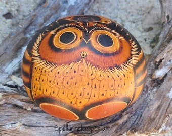 Guiro con Búho pintado a mano/ Guiro con búho pintado a mano - Ogun Gourd - Osain Gourd - Santeria / Ifa / Yoruba ~Santeria ~ Ifa