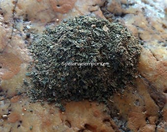 Spiritual Powder to CONTROLLING People or Situations - Polvo Espiritual para controlar ~Santeria, Ifa, Yoruba, Palo, Magic, Wicca~