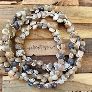 Olokun Blessed Shell Necklace - Collar de Caracol bendecida por Olokun