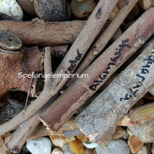 Palos de Santería para Rituales Religiosos / Palos de Santería para rituales religiosos ~Santeria, Palo, Yoruba, Ifa~