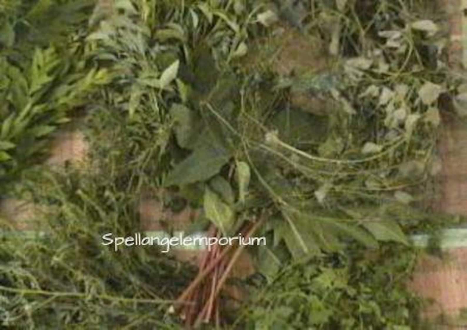 Elegua Herbs for Spiritual Bath Hierbas De Elegua orishas Etsy