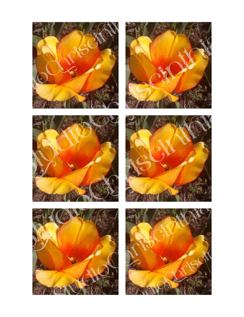 Printable 2x2 and 3x3 Inch Images, Valentine's Day 2024, Quotes ...