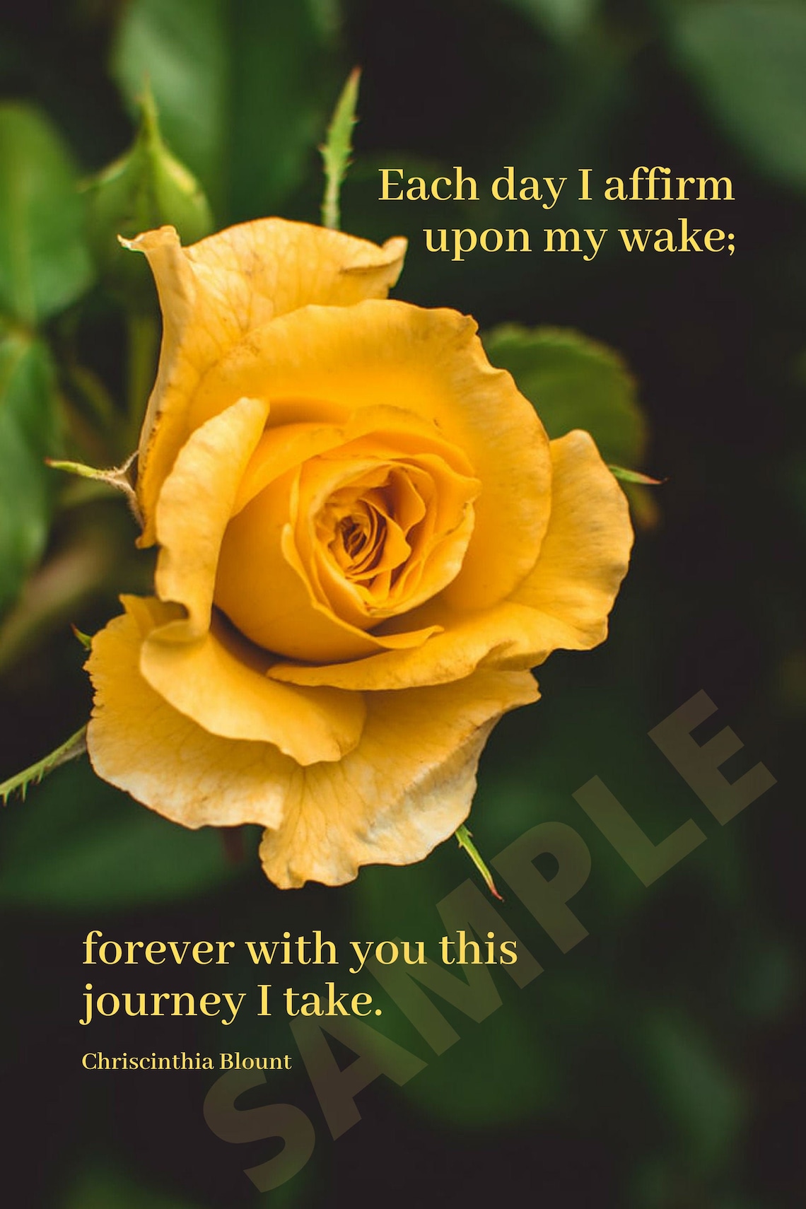 Printable Love Poems Yellow Rose Decoration Yellow Lovers Etsy Australia