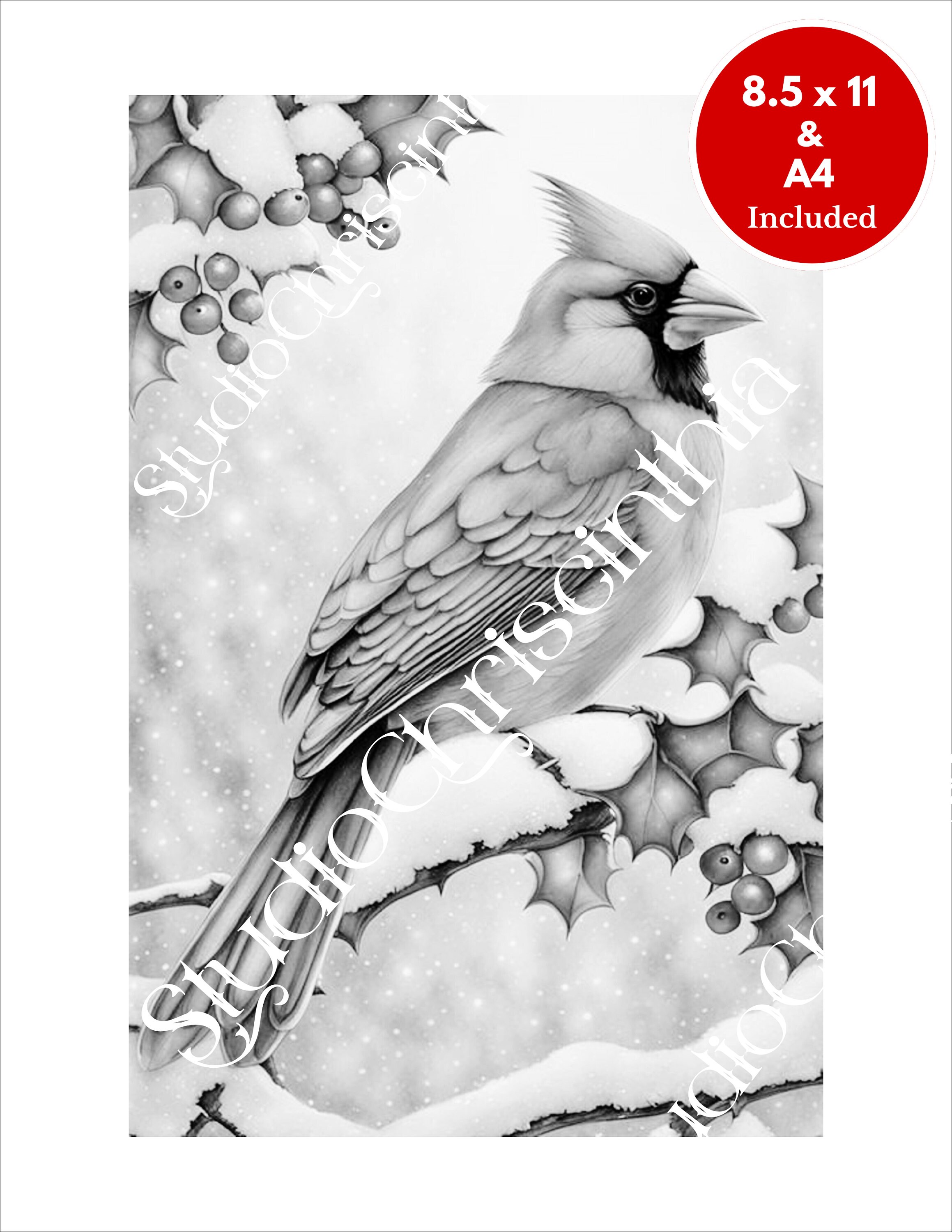 Cardinal Coloring Page, Christmas in July, Christmas 2024, Christmas ...