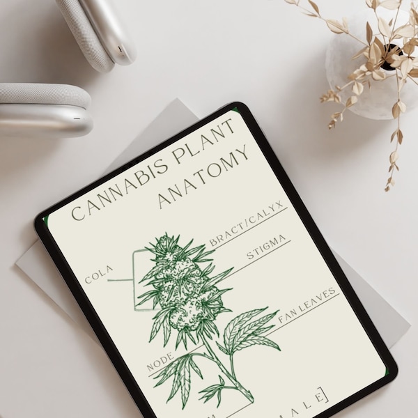Cannabis Plant Anatomy Poster, Plant Anatomy, Cannabis Education, Medical Marijuana, Cannabis Training, Dispensary Decoration