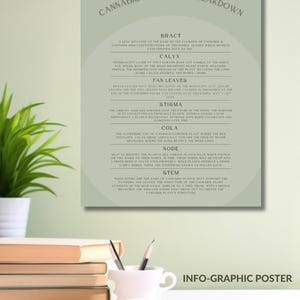 May include: A green and white infographic poster with the title "Cannabis Anatomy Breakdown". The poster features a diagram of a cannabis plant with labels for each part of the plant, including the bract, calyx, fan leaves, stigma, cola, node, and stem.