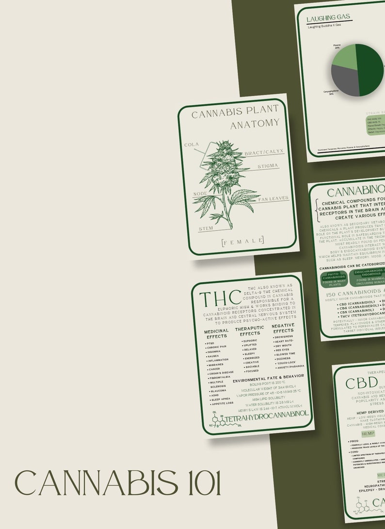 Cannabis 101 Educational Posters, Cannabis Plant Anatomy, THC, CBD