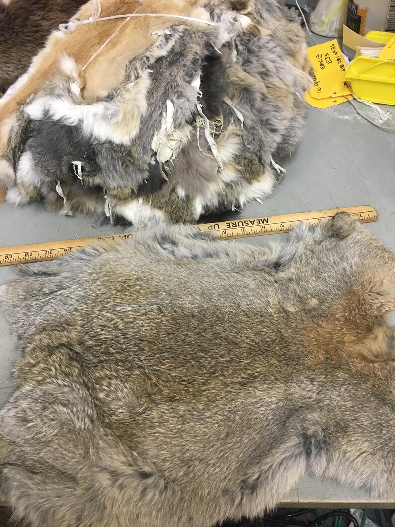 Pieles de conejo curtido piel por lo general pequeño mancha Etsy