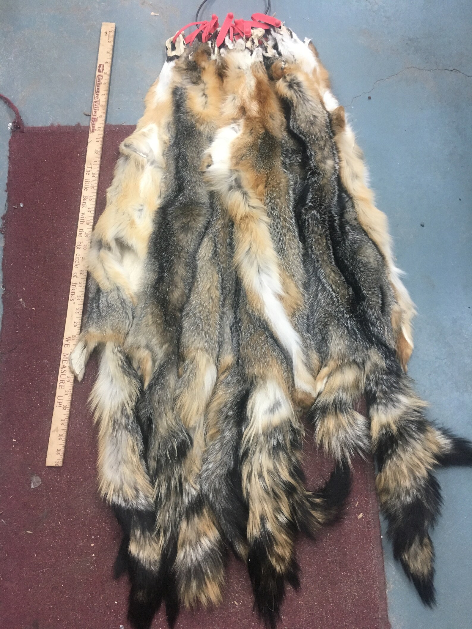 Grey fox pelts tanned no feet or lower lip | Etsy