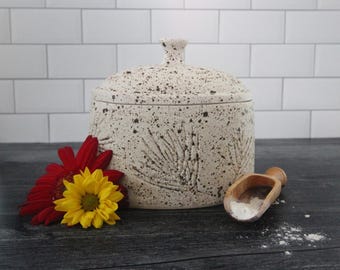 Pote oval para galhos de pinheiro
