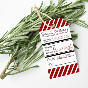 Santa Special Delivery Express Gift Tags, Christmas Package Tags, North Pole Express Delivery, Write own names, personalize, Ready to Ship