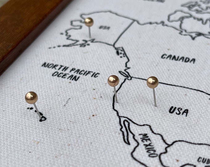 World Push Pin Personalized Map, Custom Push Pin Map, Travel Tracking, Anniversary Cotton Canvas, Unique Wedding Gift for couple who Travel