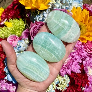 Caribbean Calcite Palm Stone
