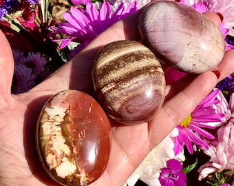 Versteinertes Holz Handschmeichler