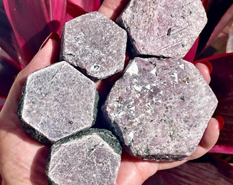 Rubin Schallplattenhalter