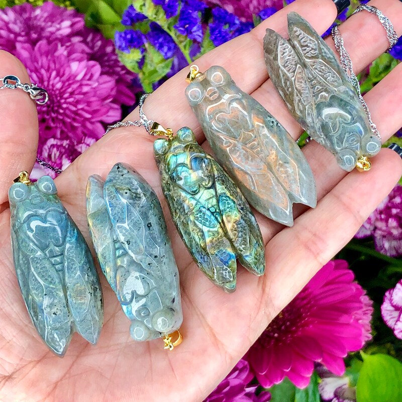 • CICADA • hand carved labradorite main image 1