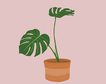 Monstera plant Digital Print